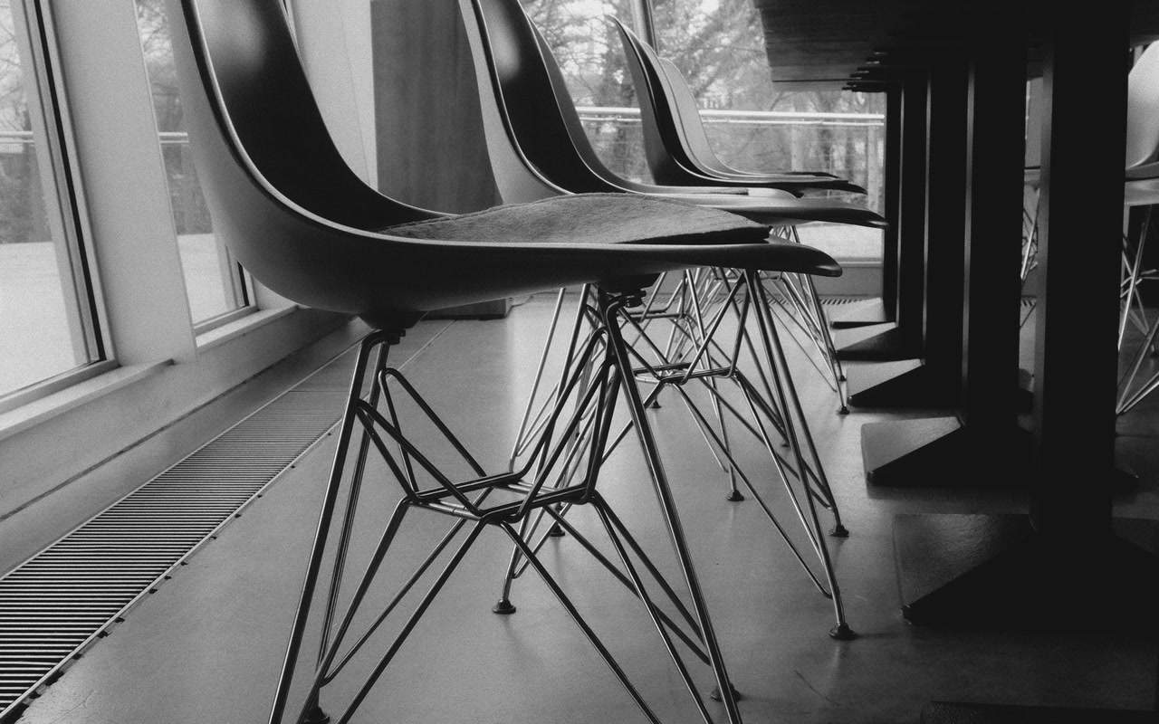 Empty modern chairs with slim metal legs standing in a bare, minimally furnished office interior