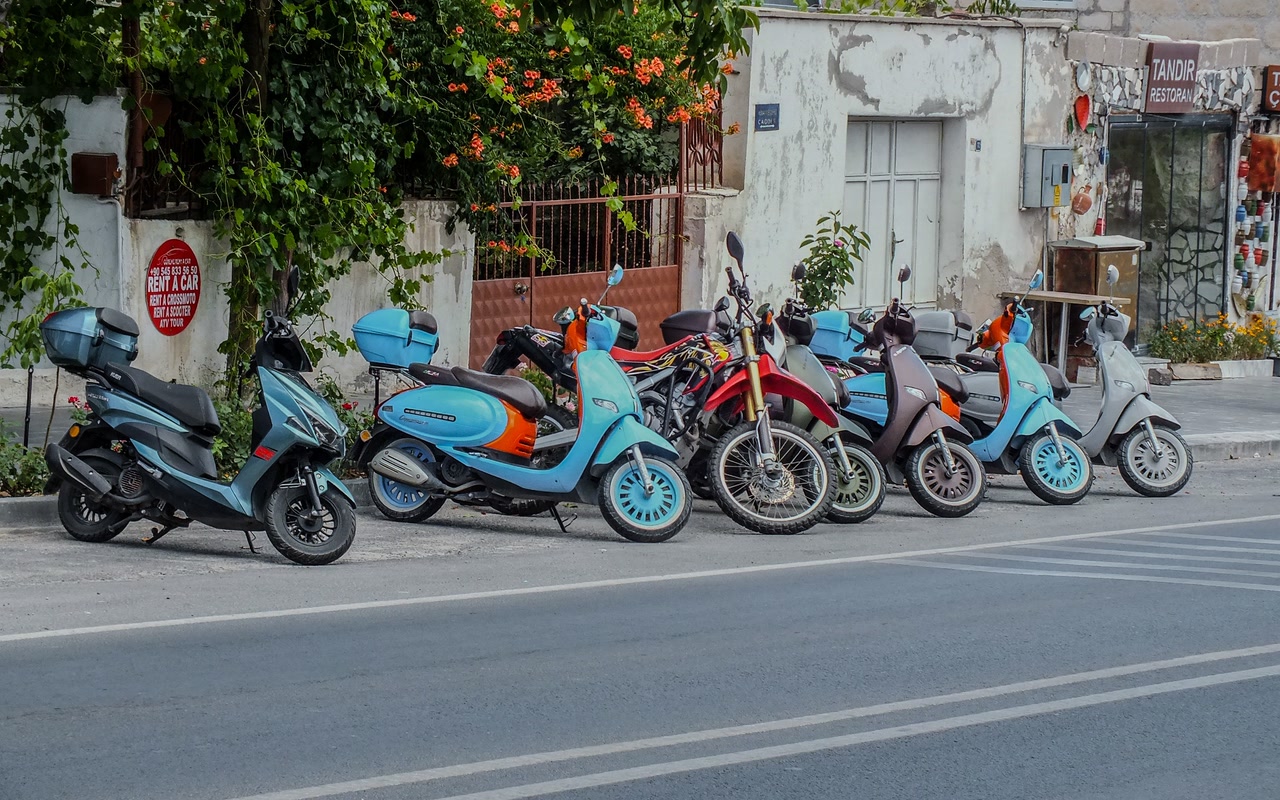 A row of scooters and motorcycles parked along the edge of an urban street with green foliage behind them in daylight